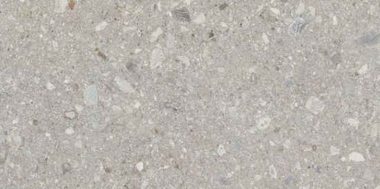 Gresie CEPPO Grey 60x120