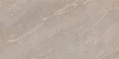 Gresie Dhara Taupe 59.5x119.2